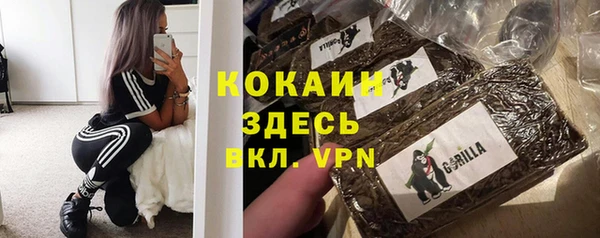 a pvp Краснослободск